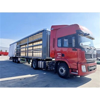 Trailer Semi Berpendingin Dengan Pintu Samping